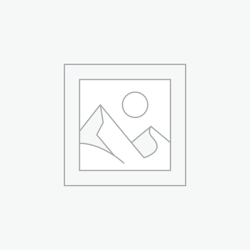 Caméra de Surveillance LEDs WIFI CARD et panoramique 360°